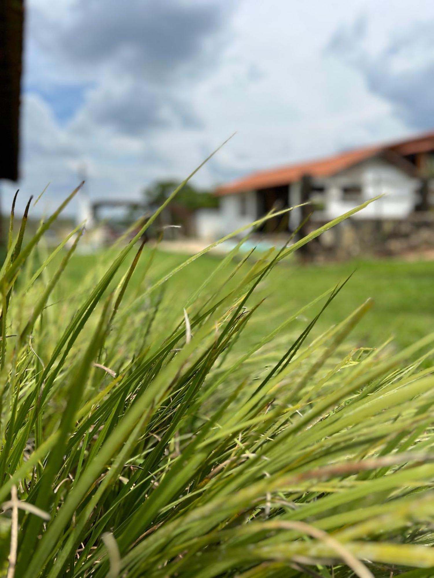 Fazenda Do Engenho Hotel Santa Rita do Rio Abaixo ภายนอก รูปภาพ