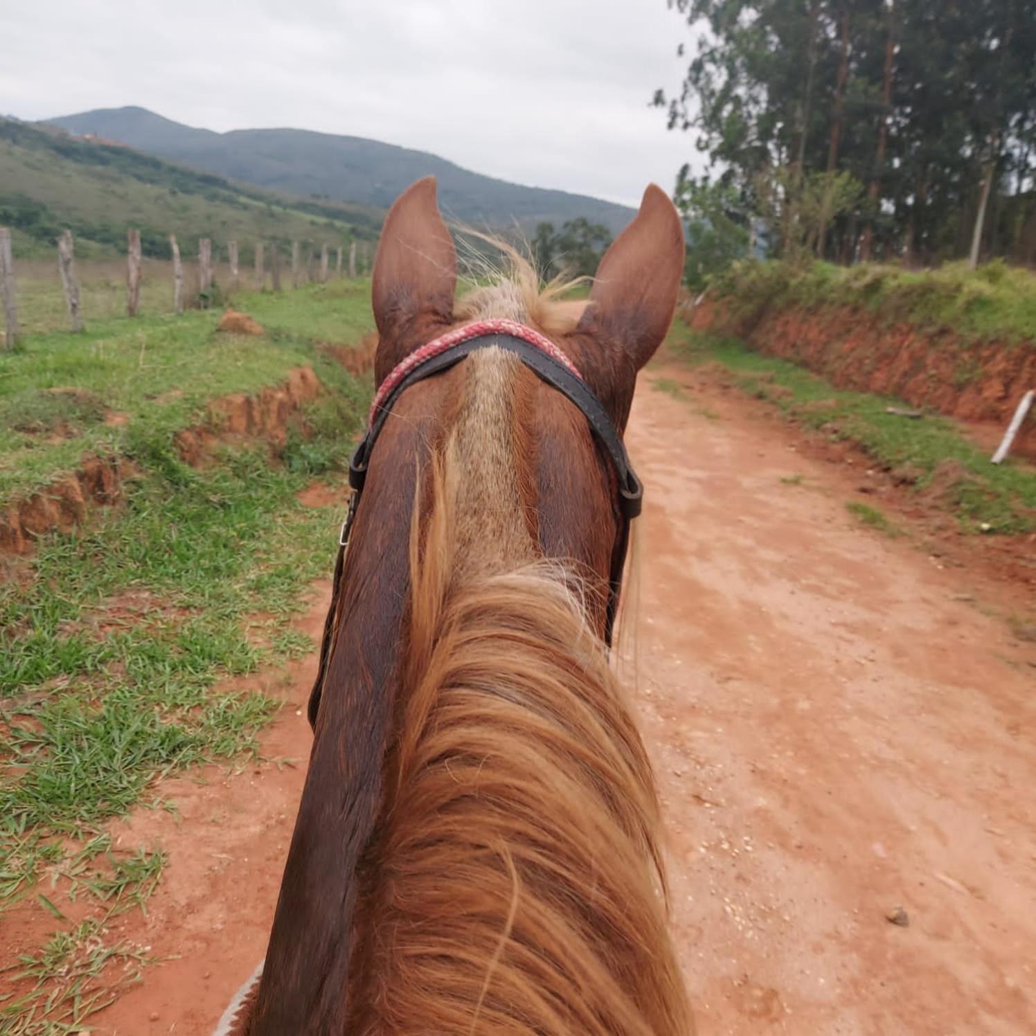 Fazenda Do Engenho Hotel Santa Rita do Rio Abaixo ภายนอก รูปภาพ