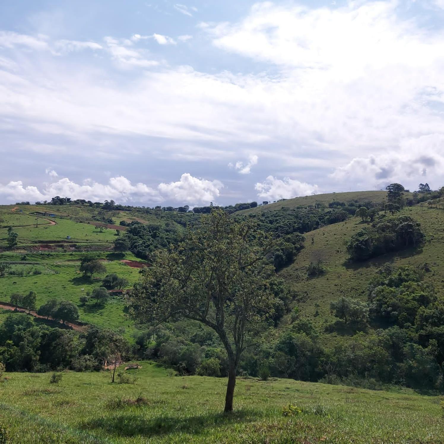Fazenda Do Engenho Hotel Santa Rita do Rio Abaixo ภายนอก รูปภาพ