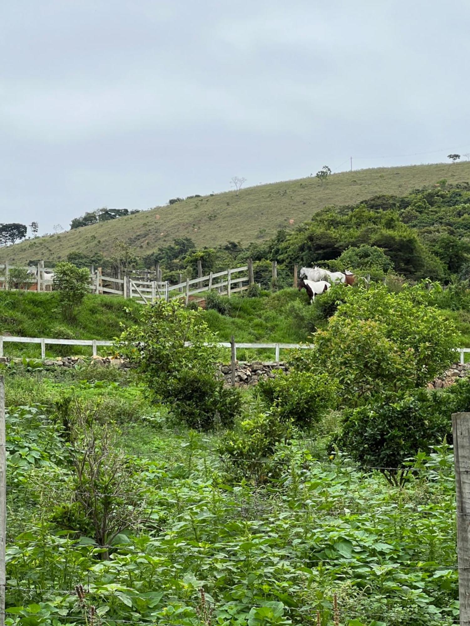 Fazenda Do Engenho Hotel Santa Rita do Rio Abaixo ภายนอก รูปภาพ