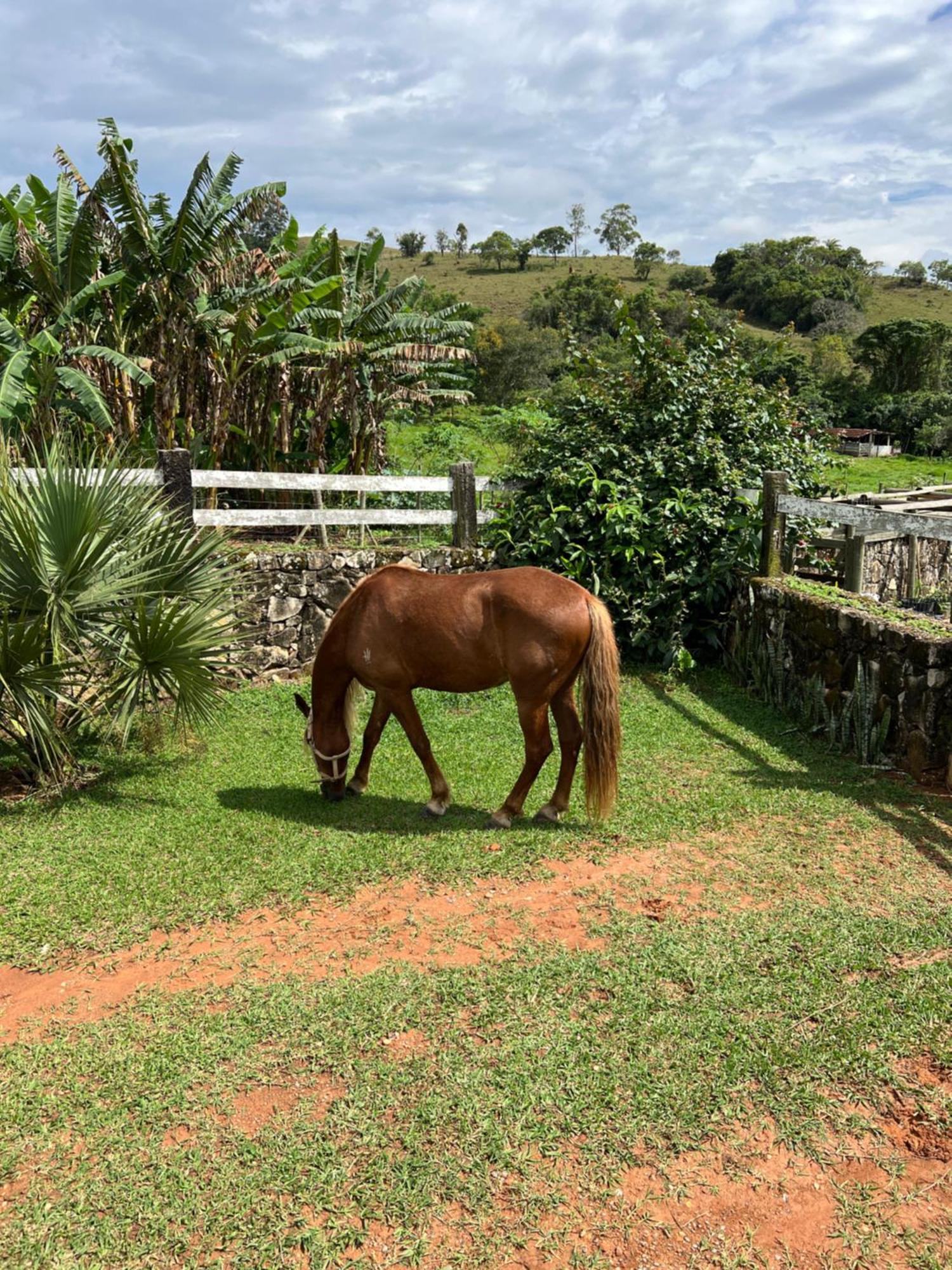 Fazenda Do Engenho Hotel Santa Rita do Rio Abaixo ภายนอก รูปภาพ