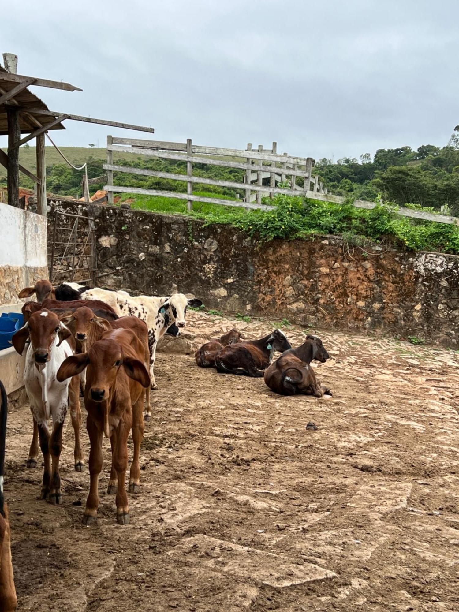 Fazenda Do Engenho Hotel Santa Rita do Rio Abaixo ภายนอก รูปภาพ