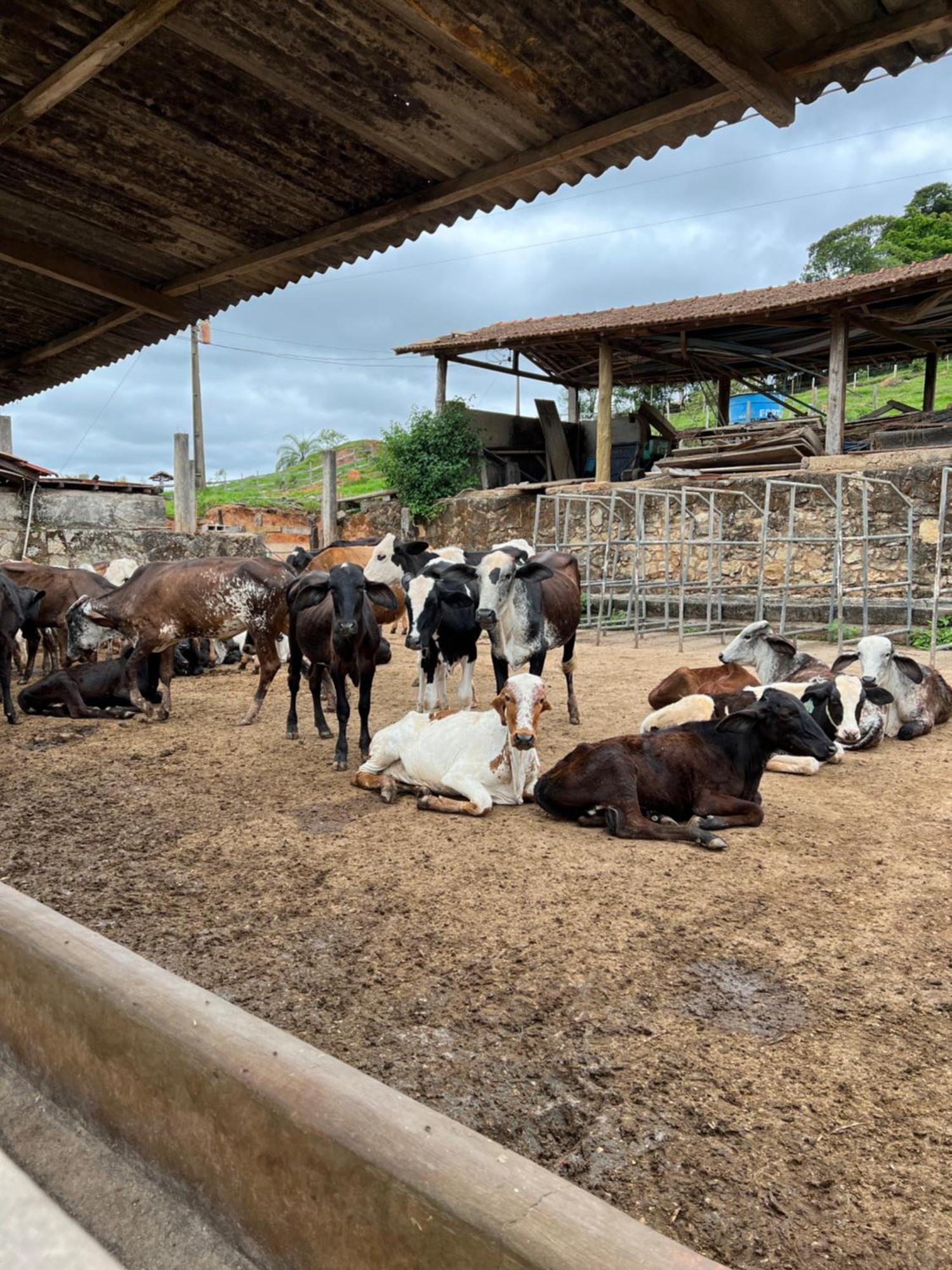 Fazenda Do Engenho Hotel Santa Rita do Rio Abaixo ภายนอก รูปภาพ