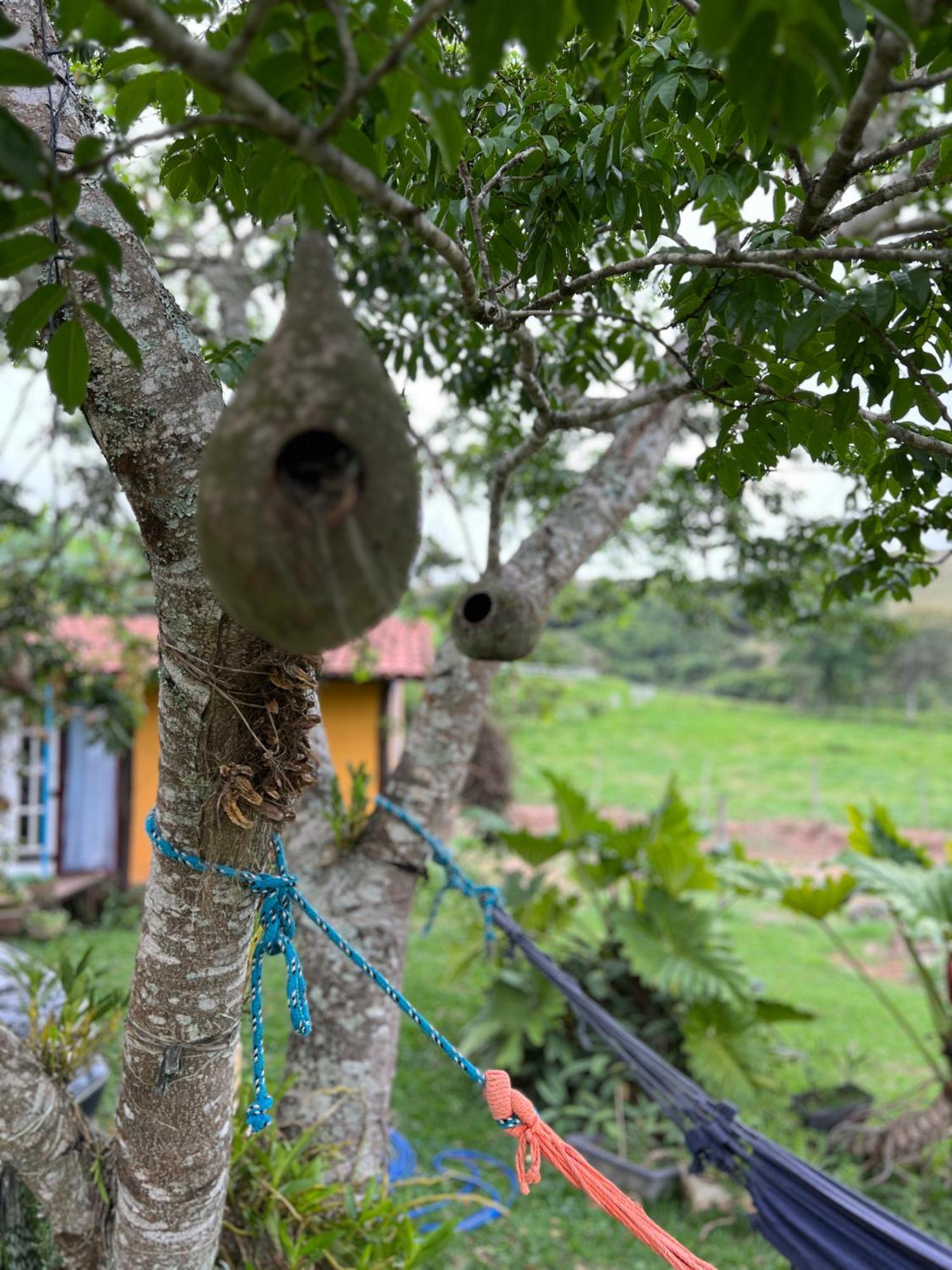 Fazenda Do Engenho Hotel Santa Rita do Rio Abaixo ภายนอก รูปภาพ