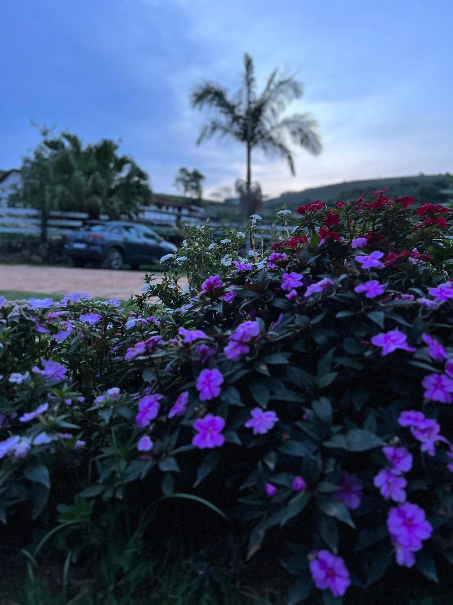 Fazenda Do Engenho Hotel Santa Rita do Rio Abaixo ภายนอก รูปภาพ