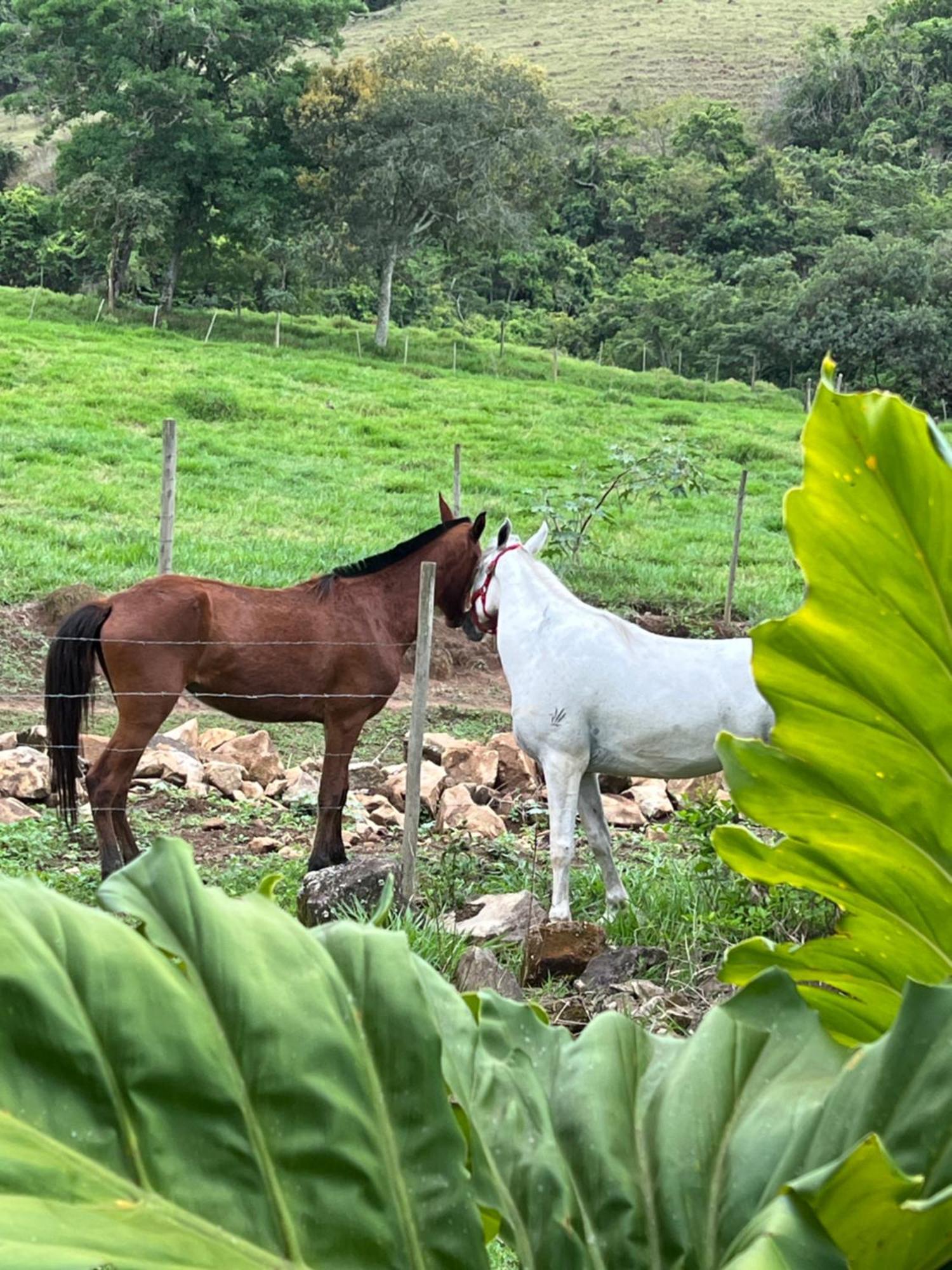 Fazenda Do Engenho Hotel Santa Rita do Rio Abaixo ภายนอก รูปภาพ