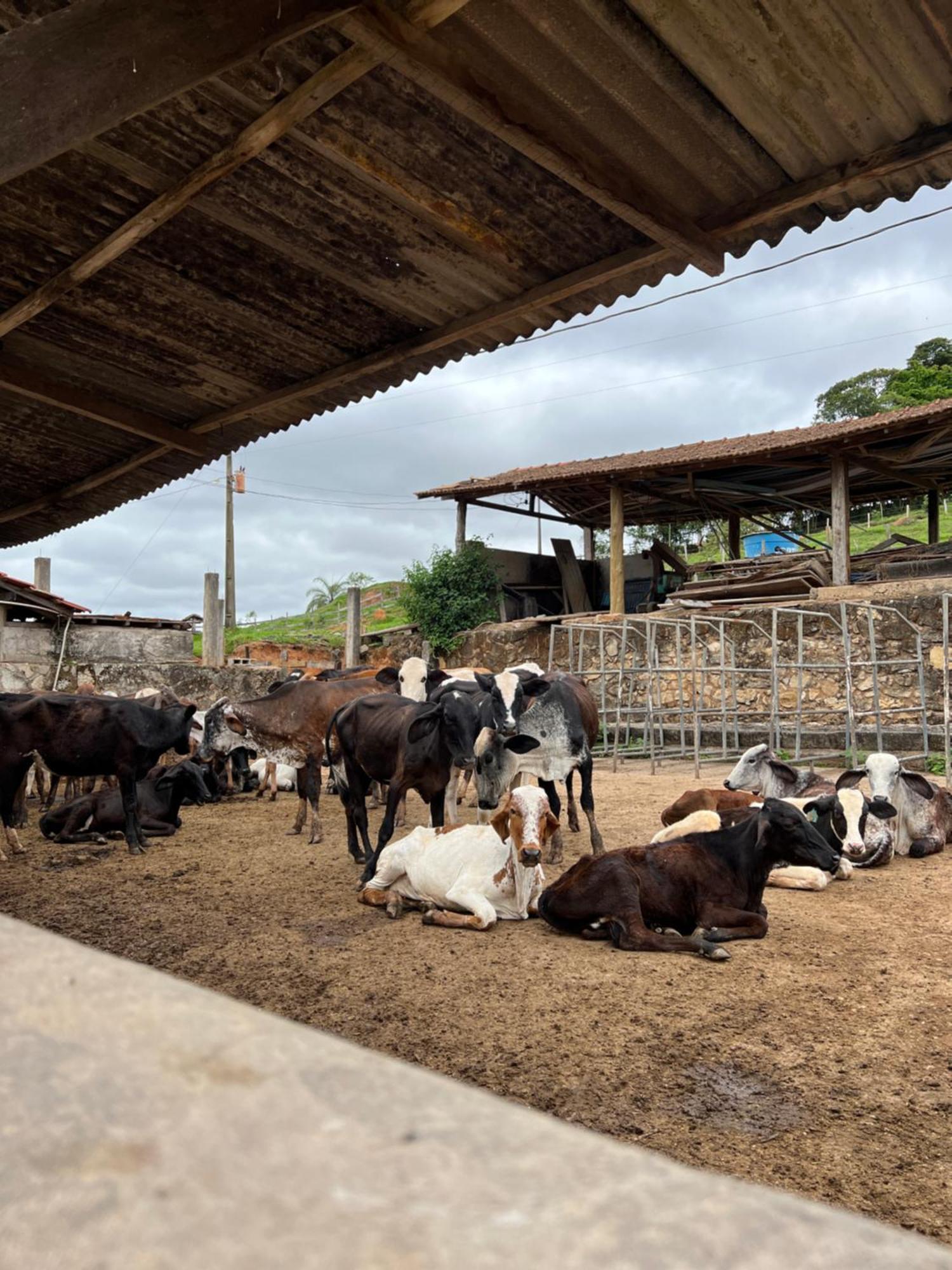 Fazenda Do Engenho Hotel Santa Rita do Rio Abaixo ภายนอก รูปภาพ